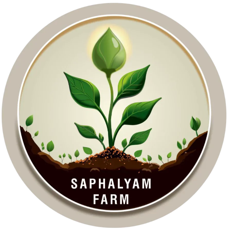 logo-shohalyam-logo